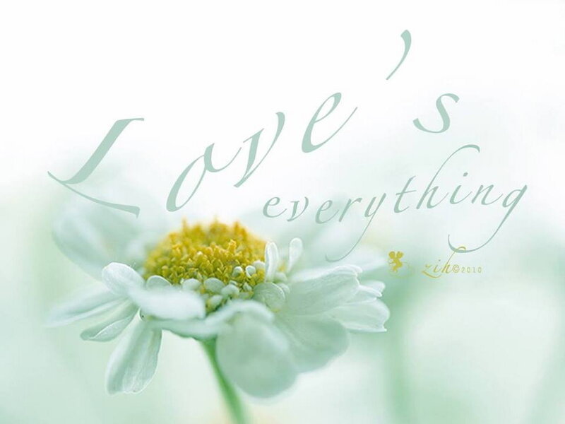 White Daisy Flower — Serene, Photograph, Text