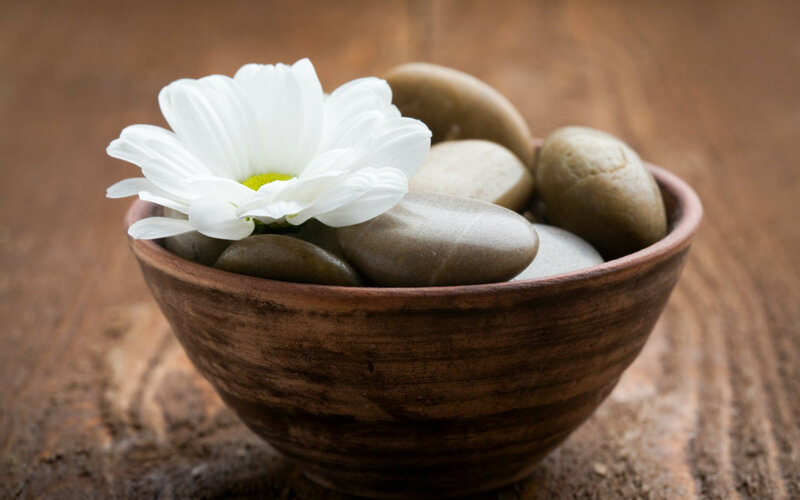 White Daisy in Bowl