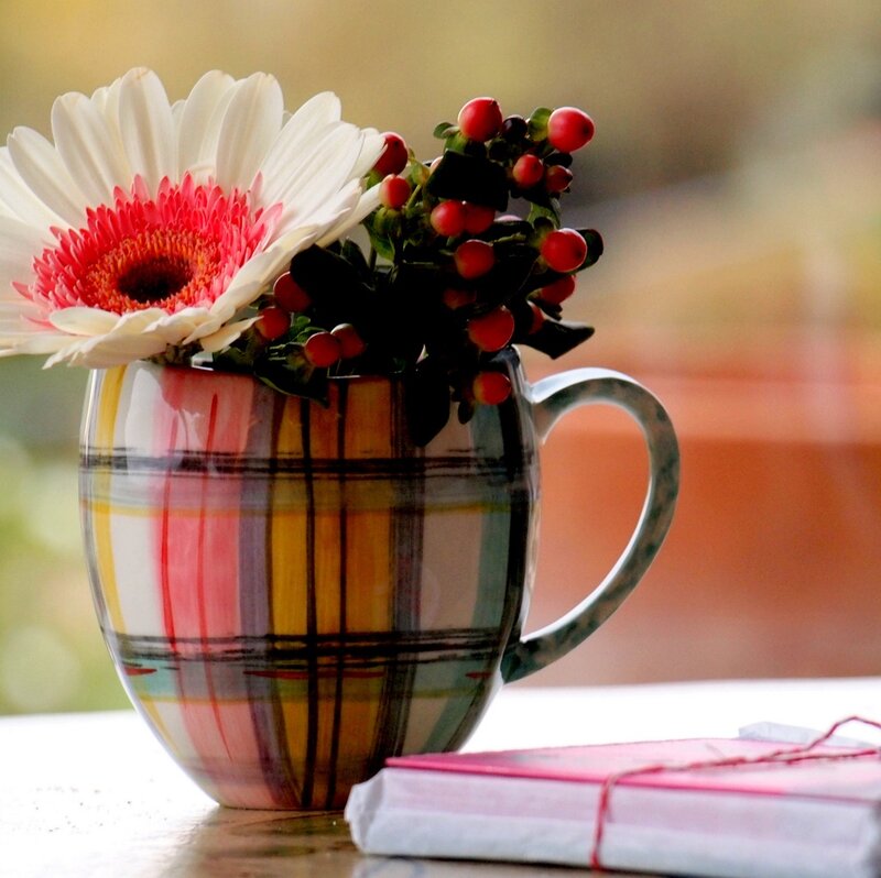 White Daisy in Mug