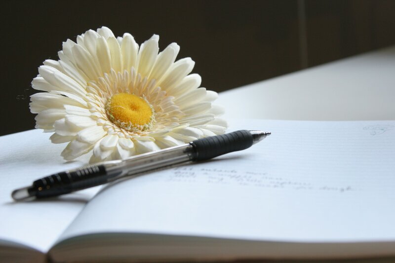 White Daisy on Notebook