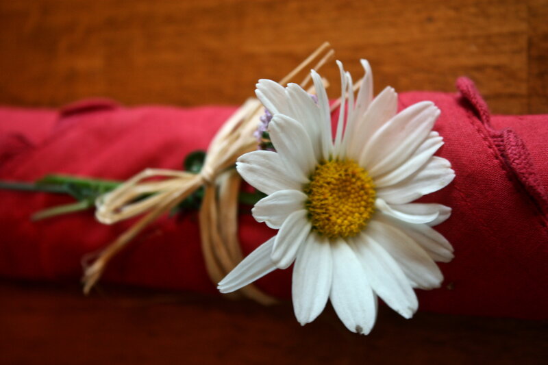White Daisy on Red Cloth
