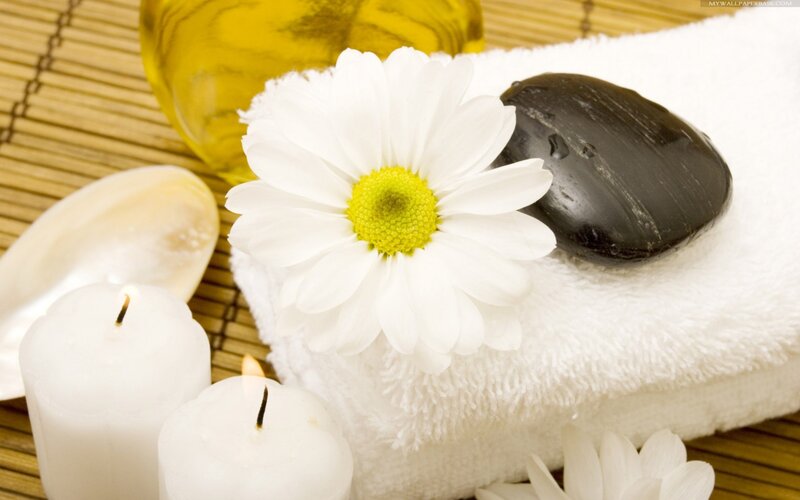 White Daisy on Towel — Serene
