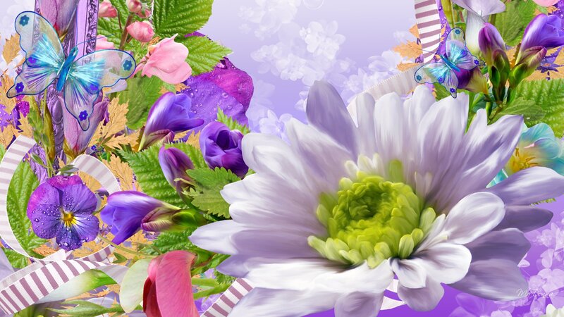 White Daisy with Purple Flowers — Serene