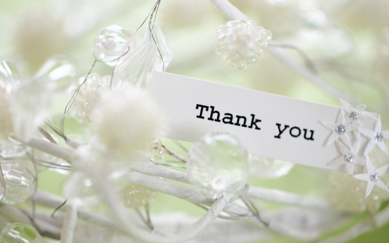 White Decorative Branch