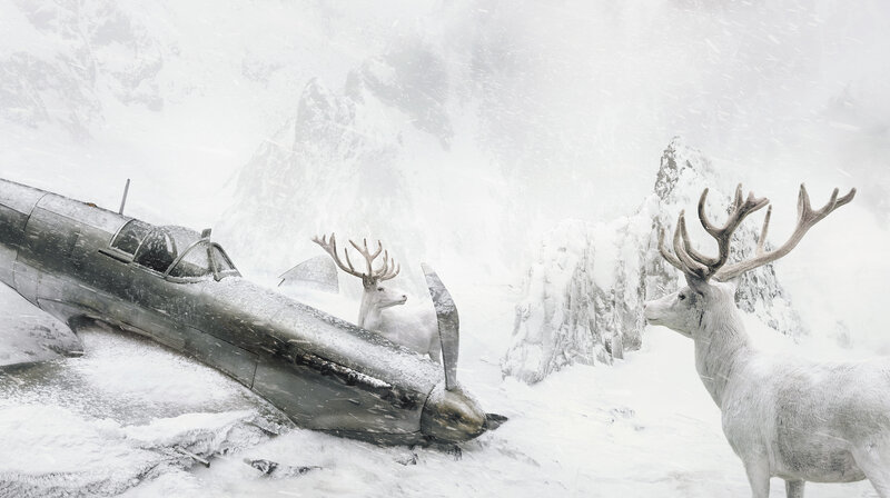 White Deer Near Plane