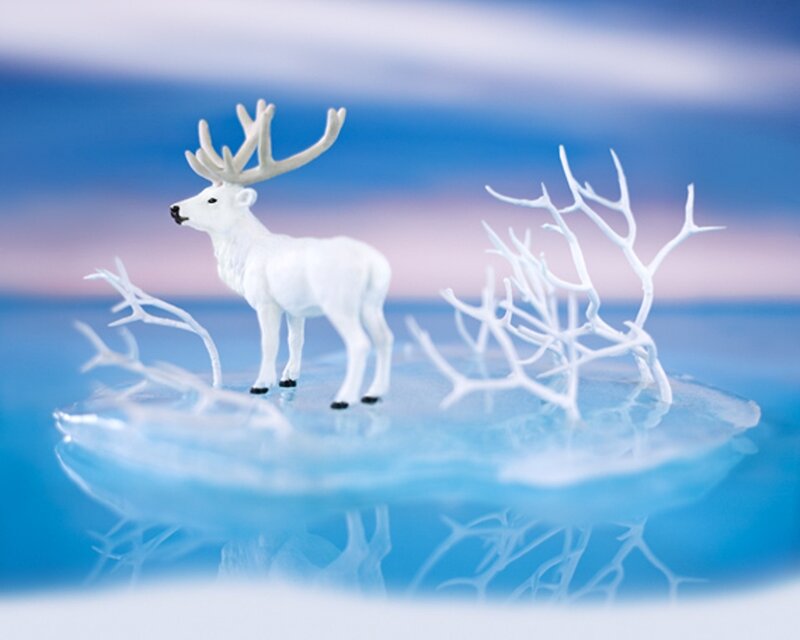 White Deer on Ice