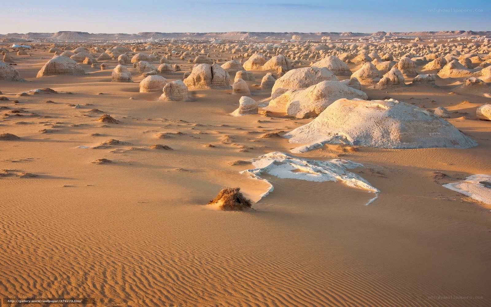 White Desert landscape