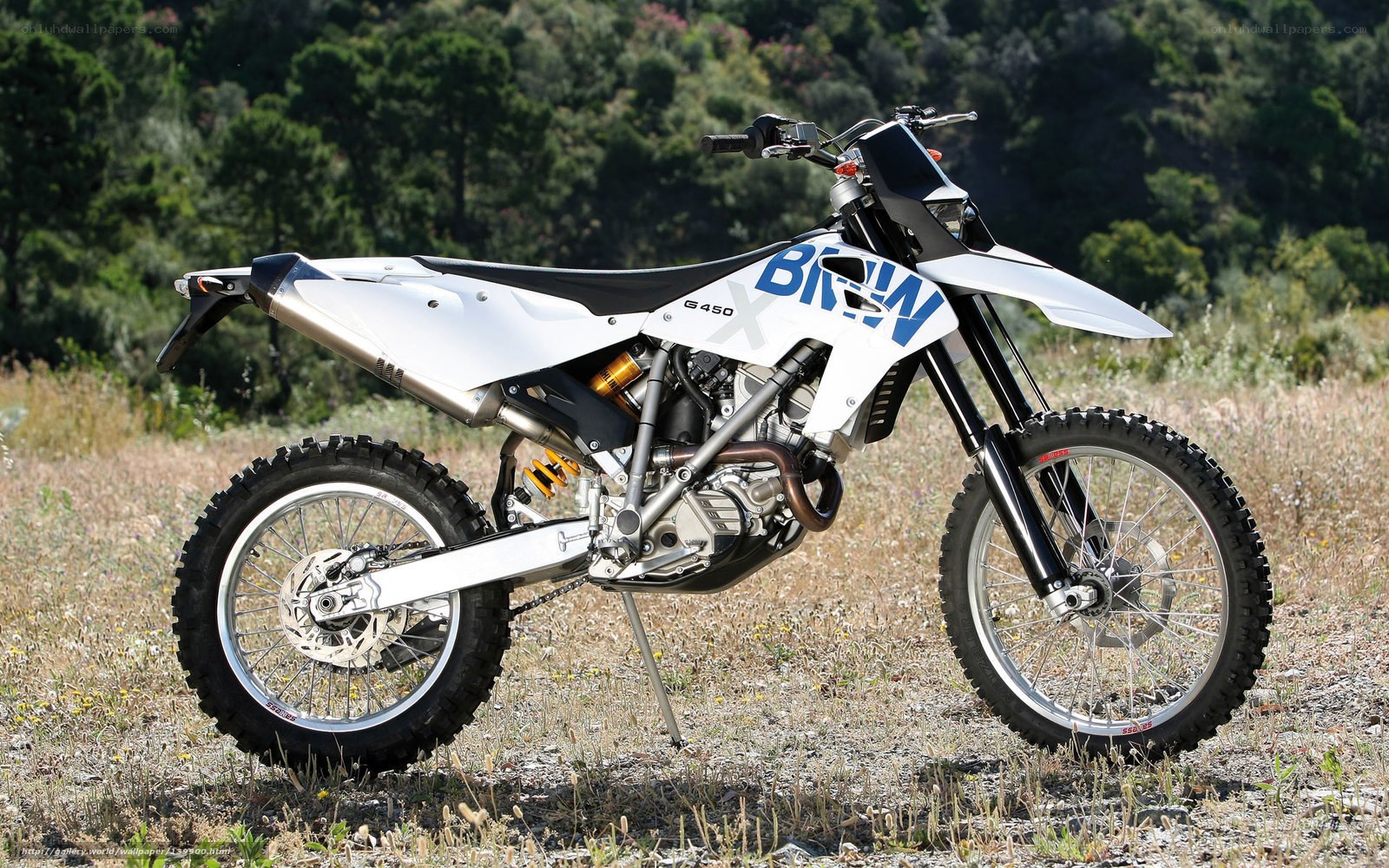 white dirt bike in field
