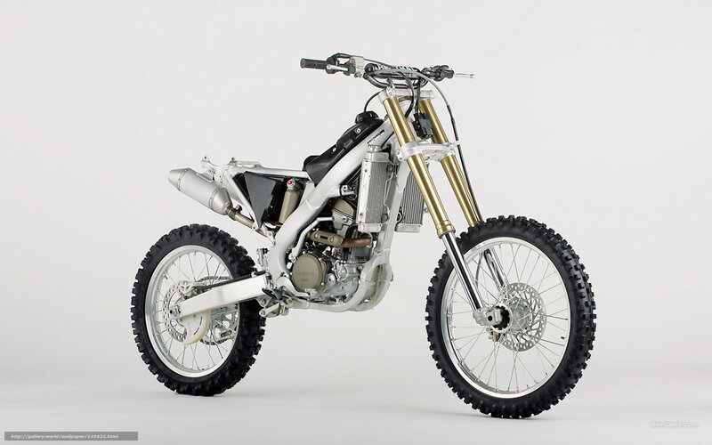 White Dirt Bike — Neutral, Photograph, Gold Front Forks