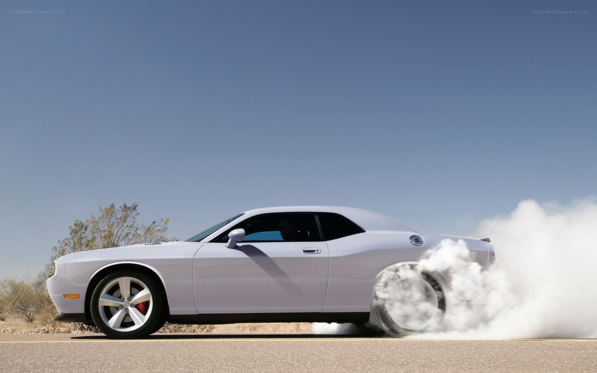 white dodge challenger burnout