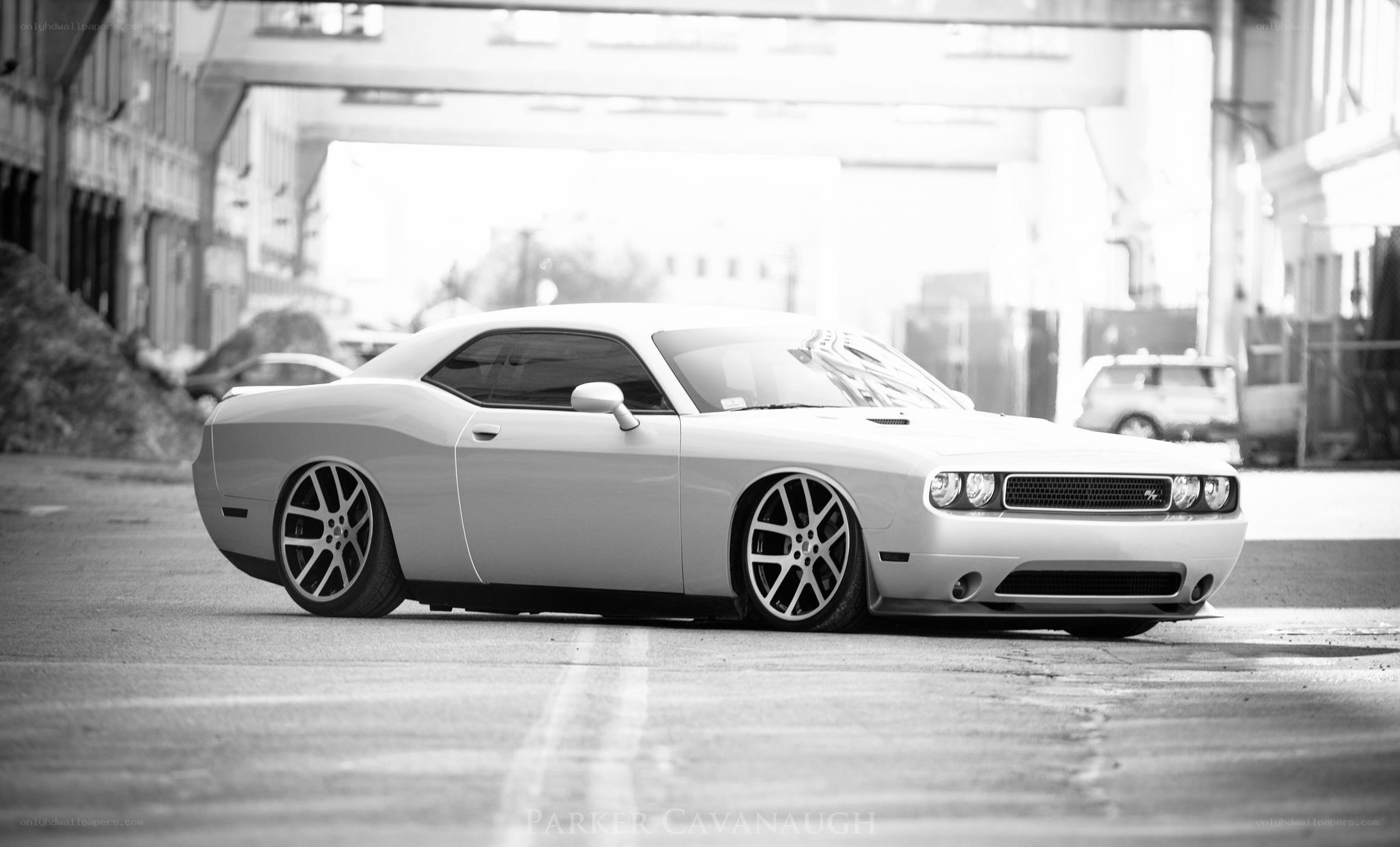 white dodge challenger car