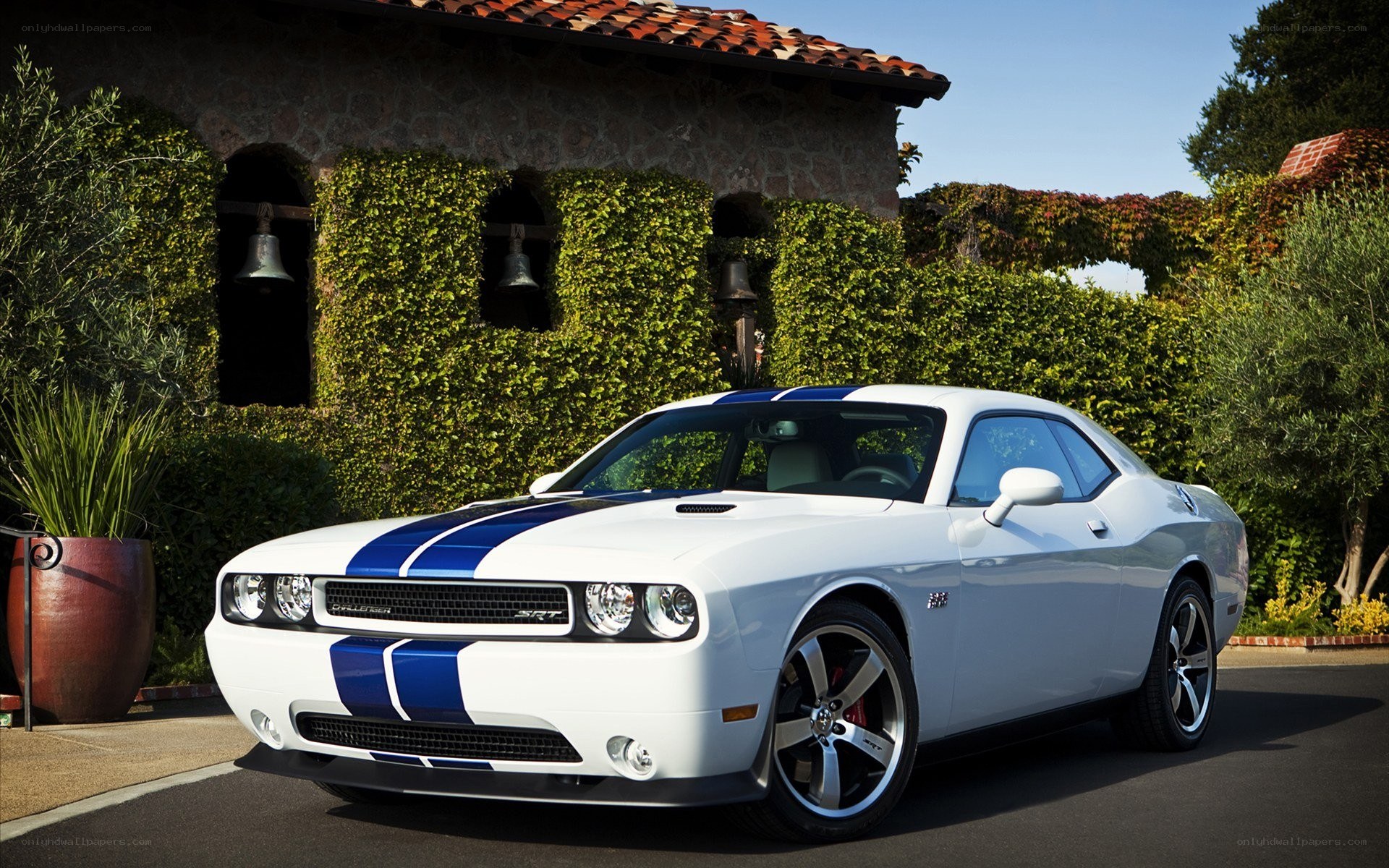 White Dodge Challenger SRT8