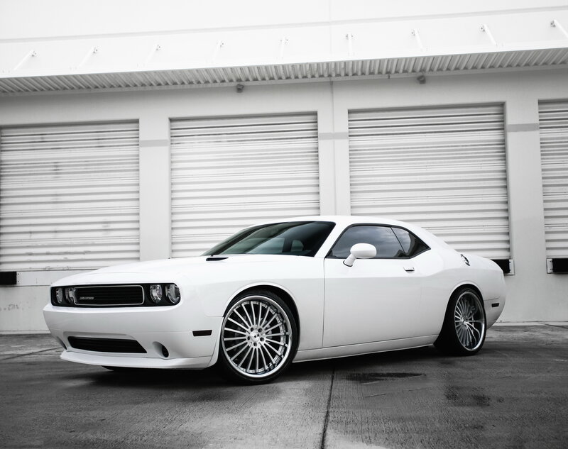White Dodge Challenger