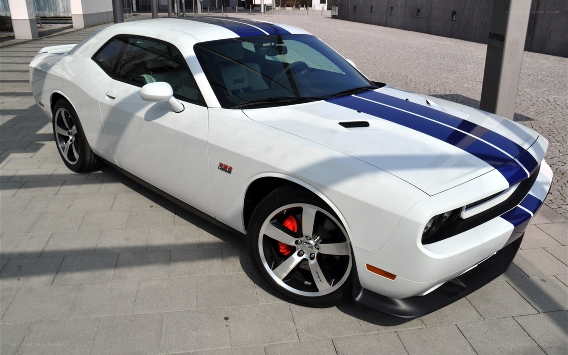 white dodge challenger with blue stripes