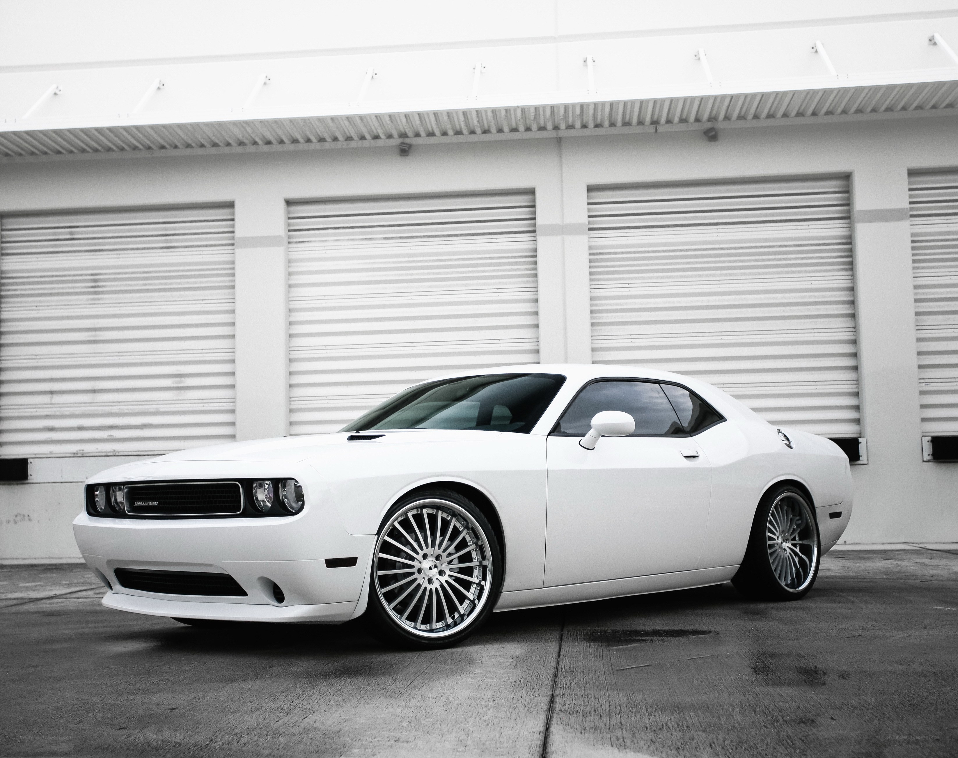 White Dodge Challenger
