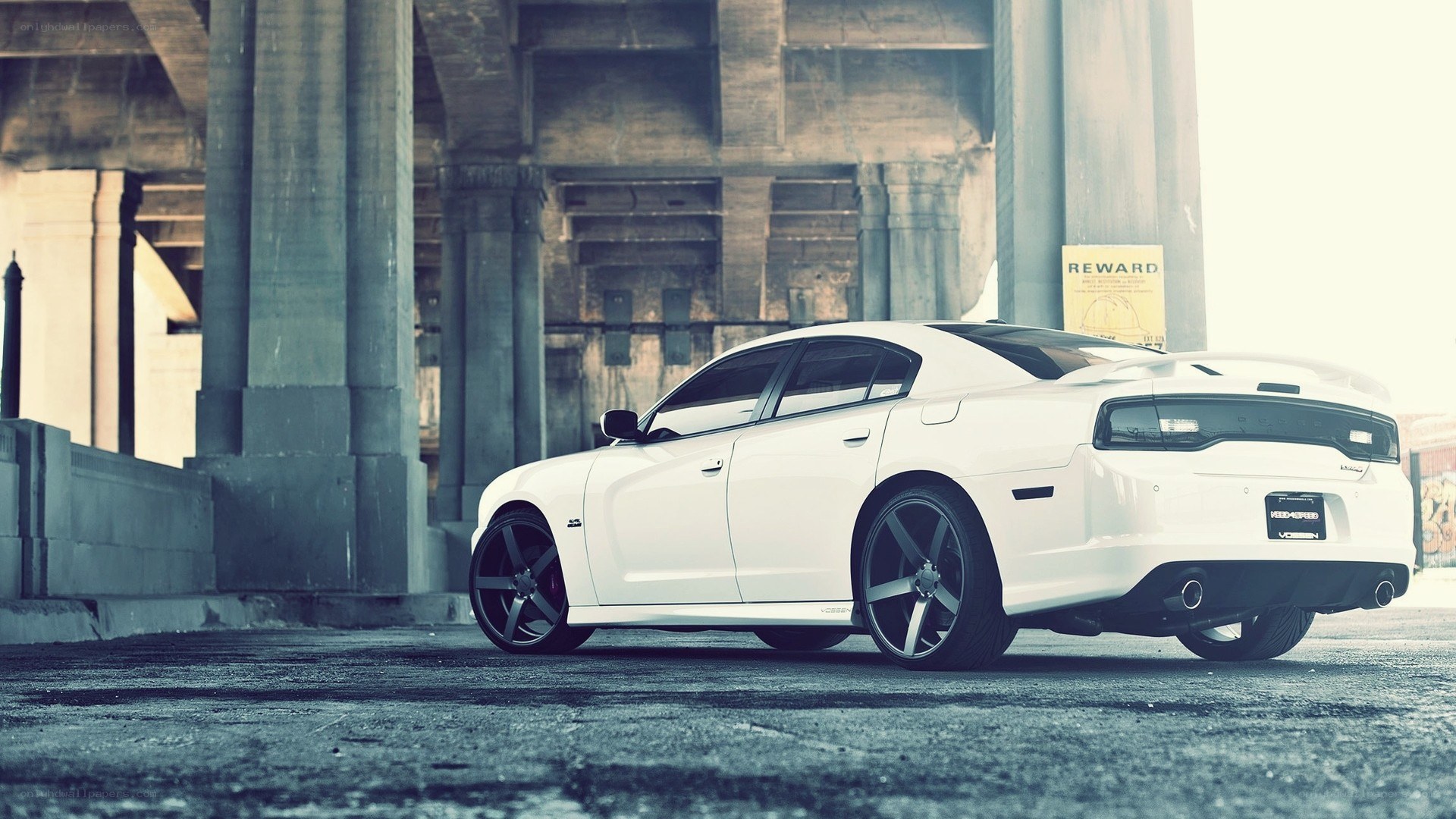 white dodge charger under bridge