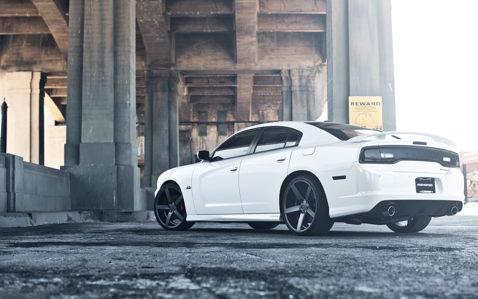 white dodge charger under bridge