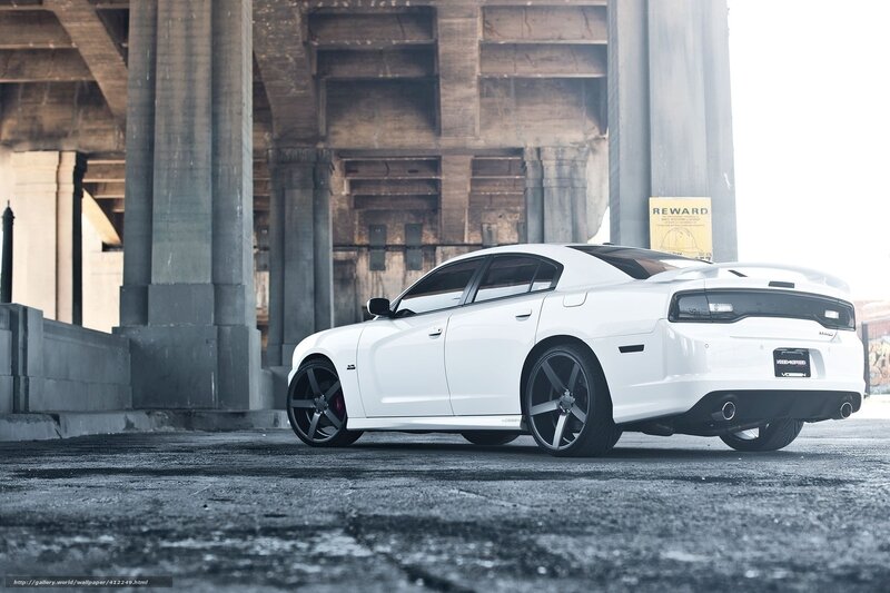 White Dodge Charger under bridge