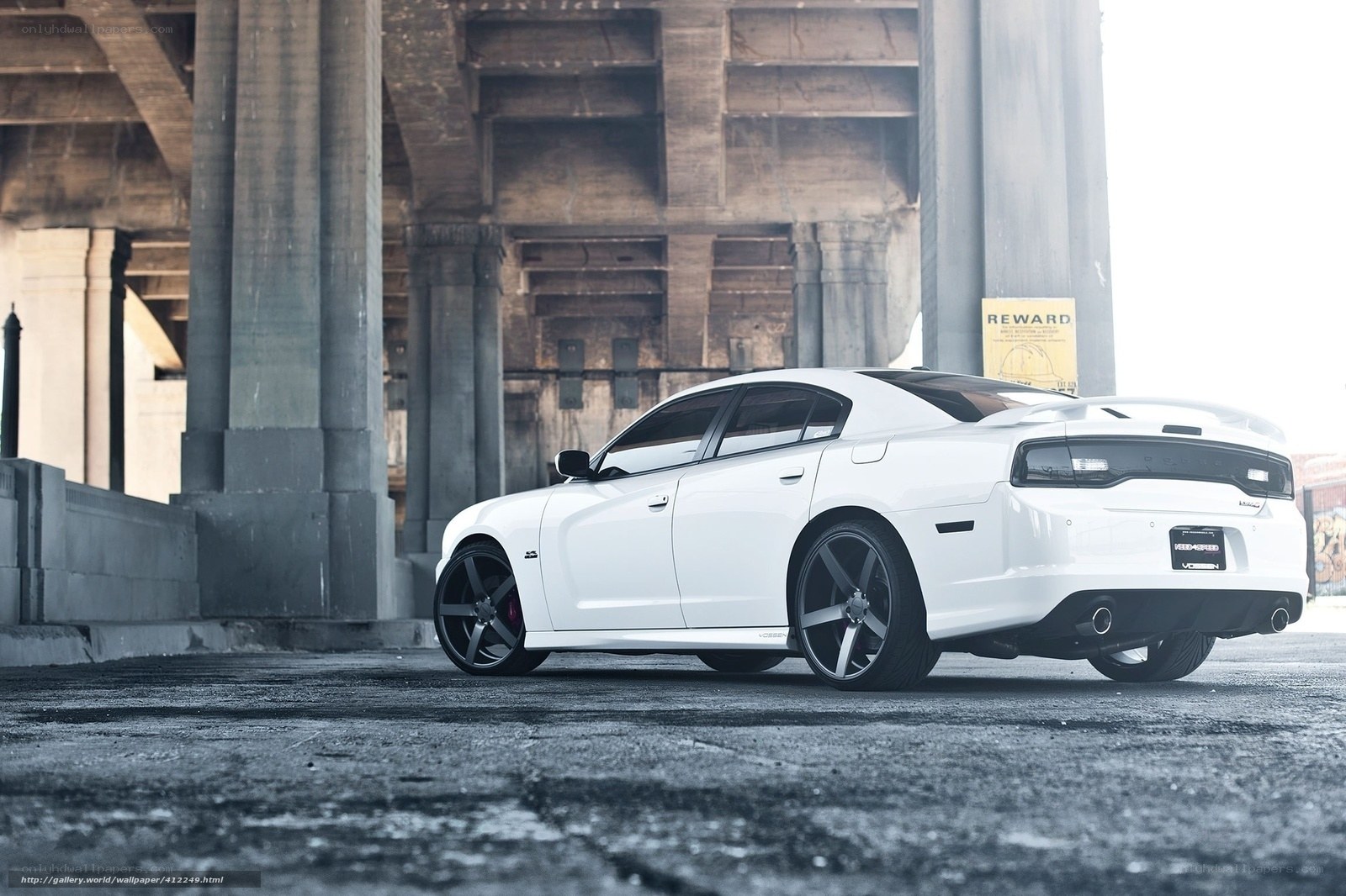 White Dodge Charger under bridge
