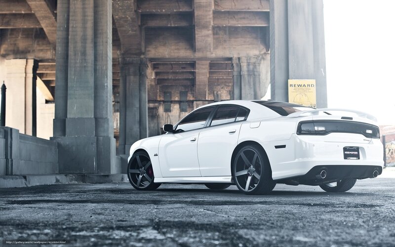 White Dodge Charger — Urban