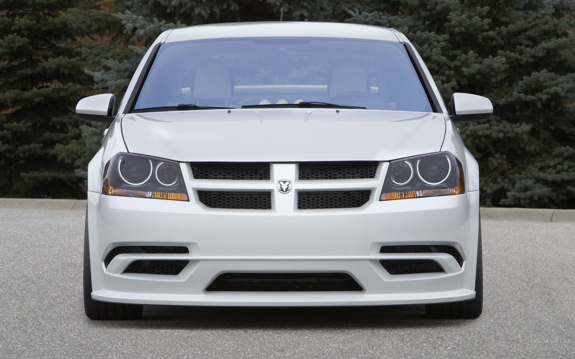 white dodge dart front view