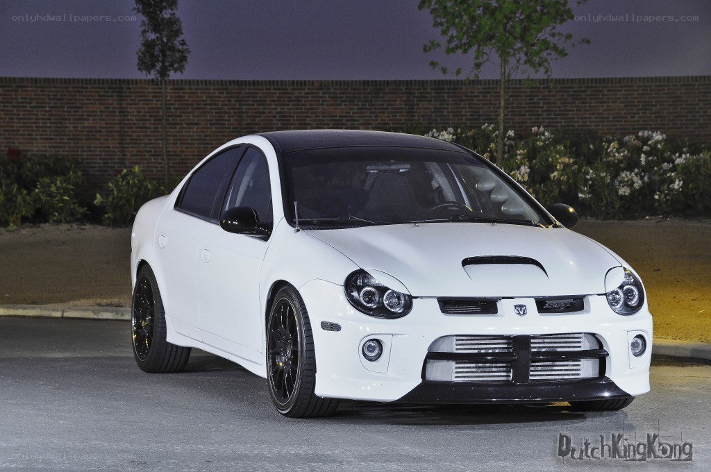 white dodge neon srt-4 car