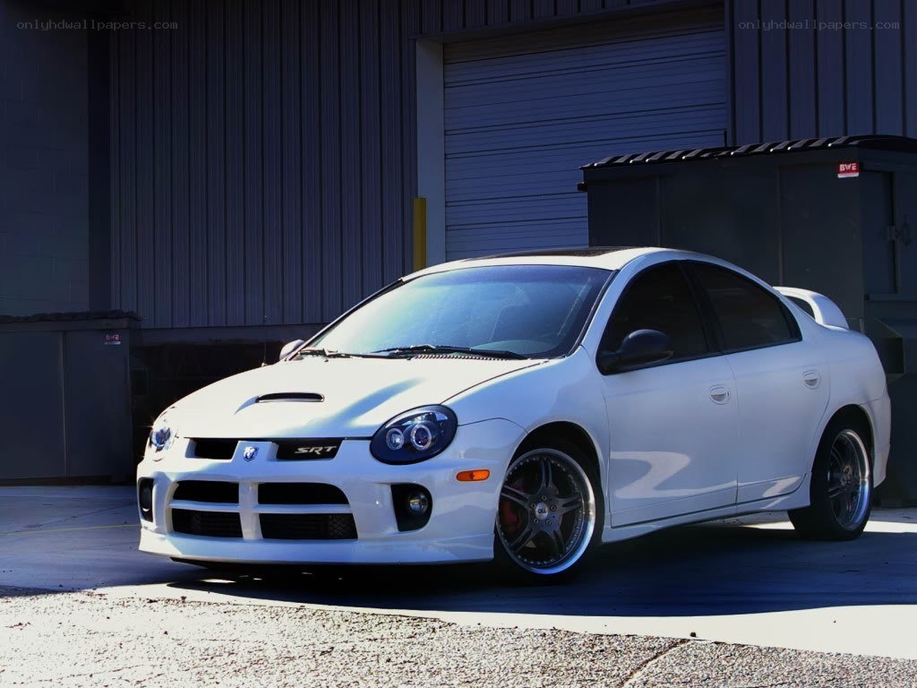 white dodge neon srt-4 car