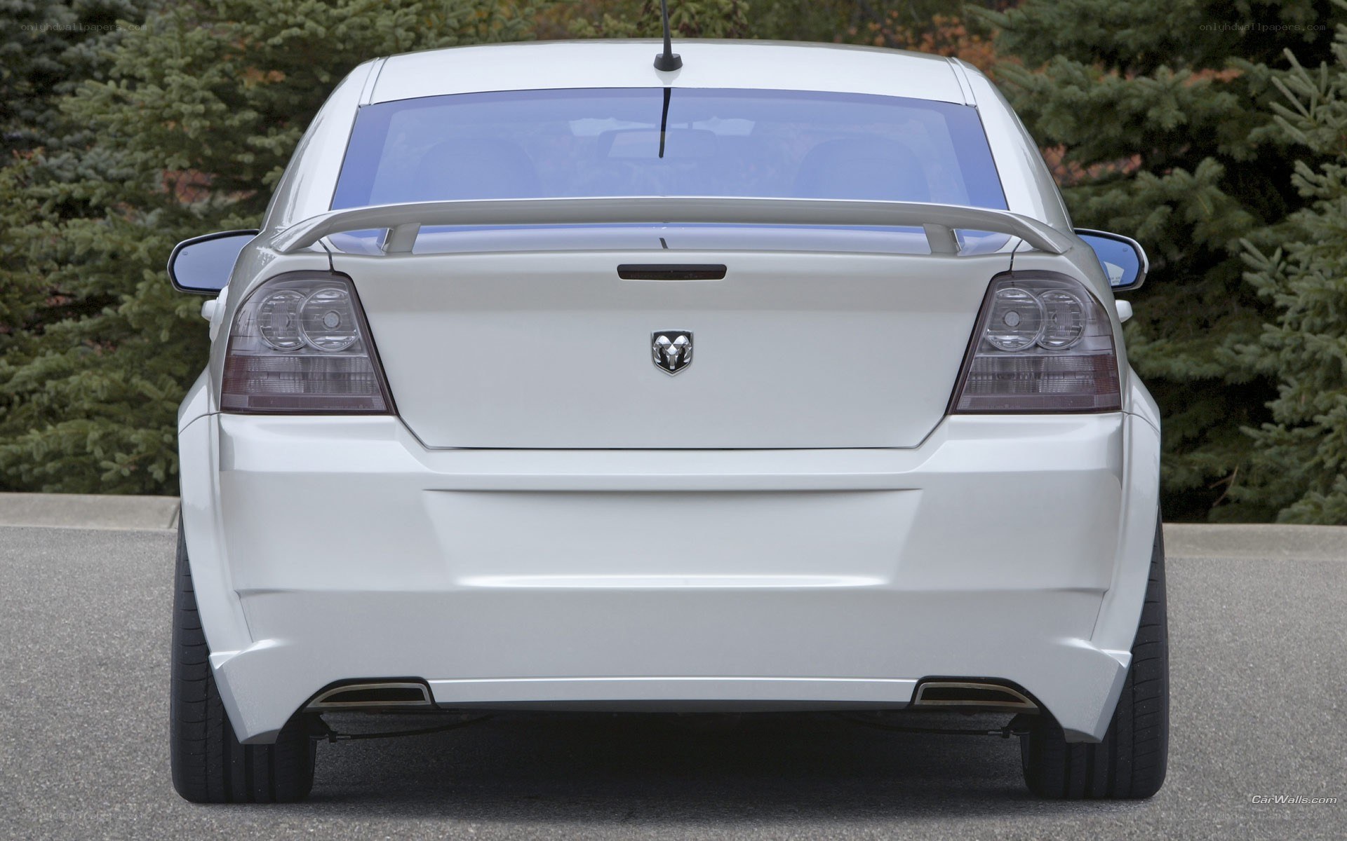 white dodge sedan rear view