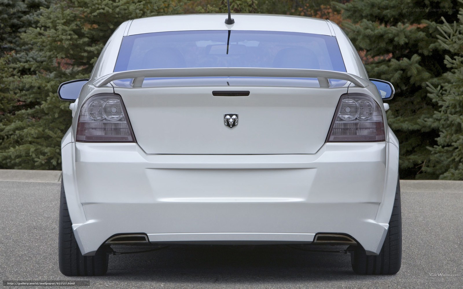 white dodge sedan rear view