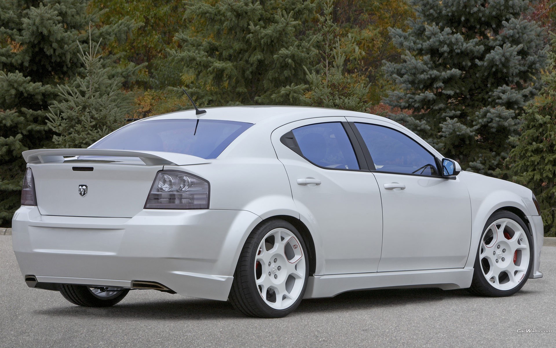 white dodge sedan with spoiler