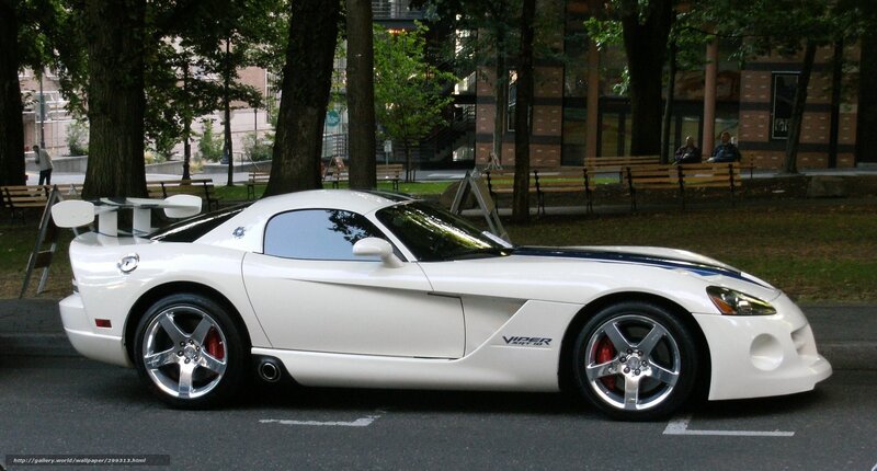 White Dodge Viper Sports Car — Calm