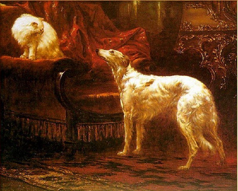 White Dog and Cat