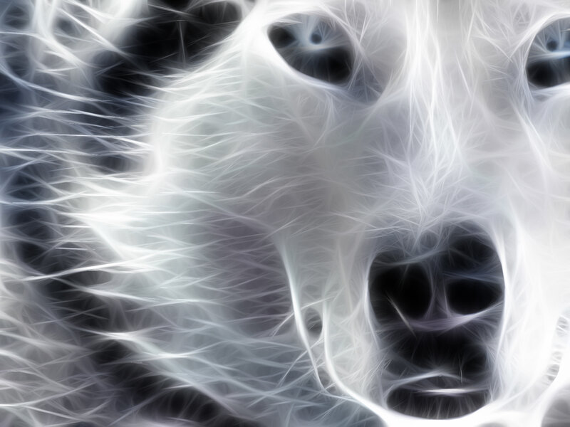 White Dog Face — Ethereal