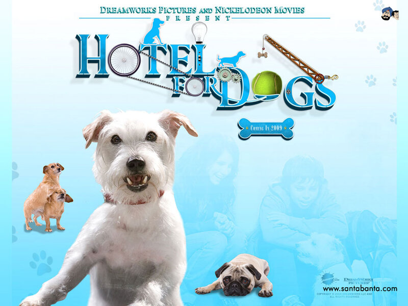 White Dog in Foreground — Blue, Playful