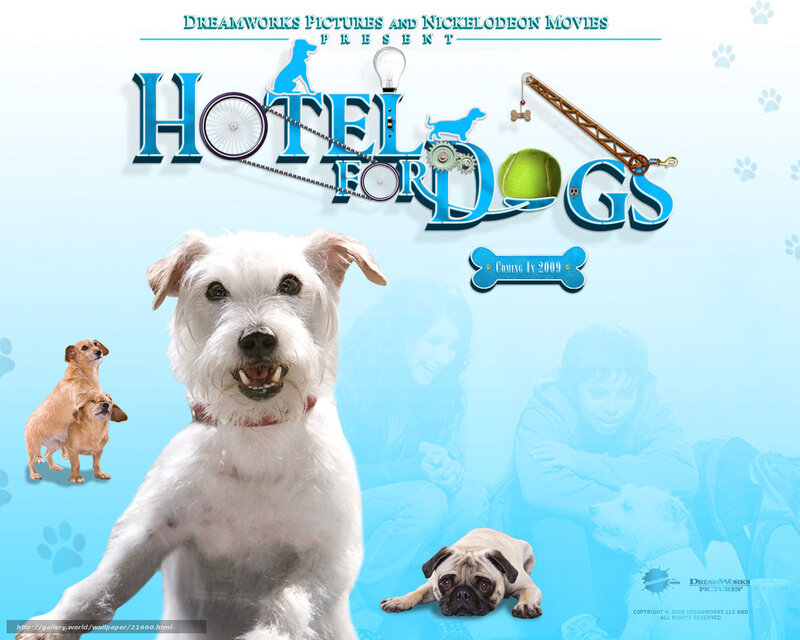 White Dog in Foreground — Blue