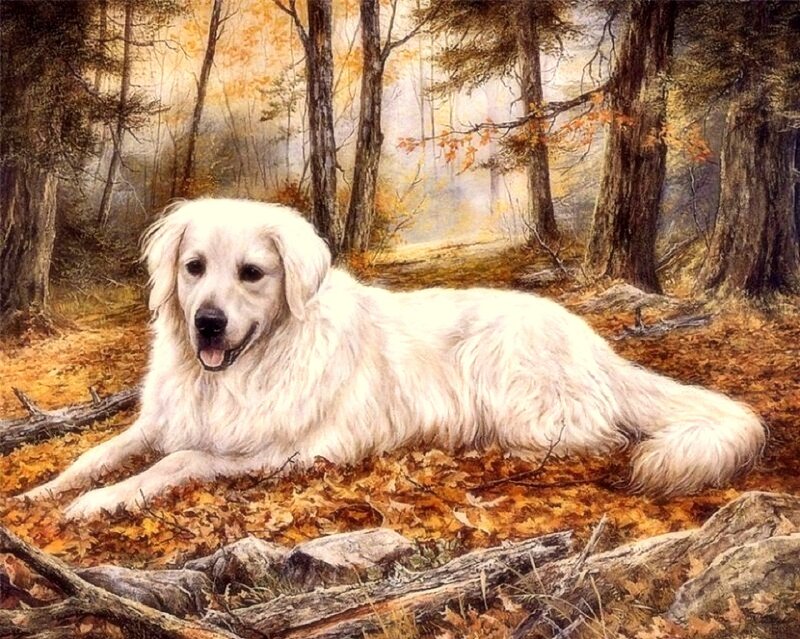 White Dog in Forest — Brown