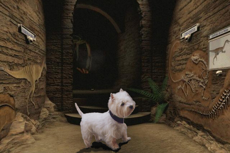 White Dog in Museum