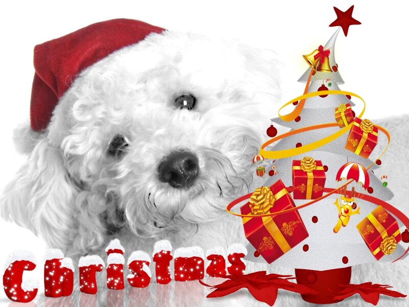 White Dog in Santa Hat — Red, Festive, Winter, Digital Art