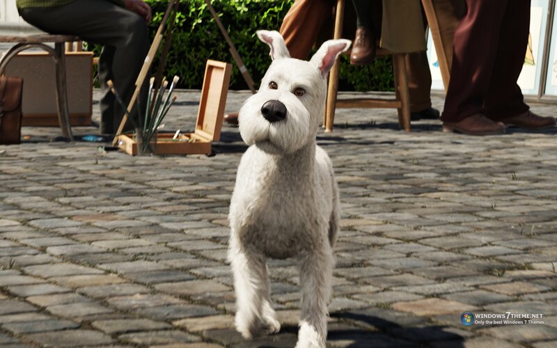 White Dog on Cobblestones