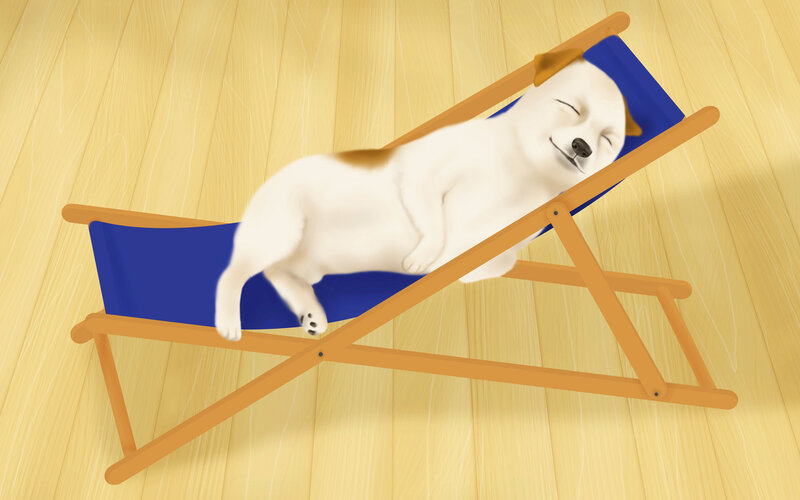 White Dog on Lounge Chair