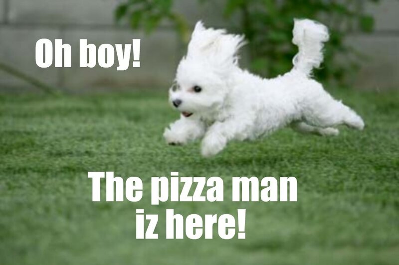 White Dog Running — Green