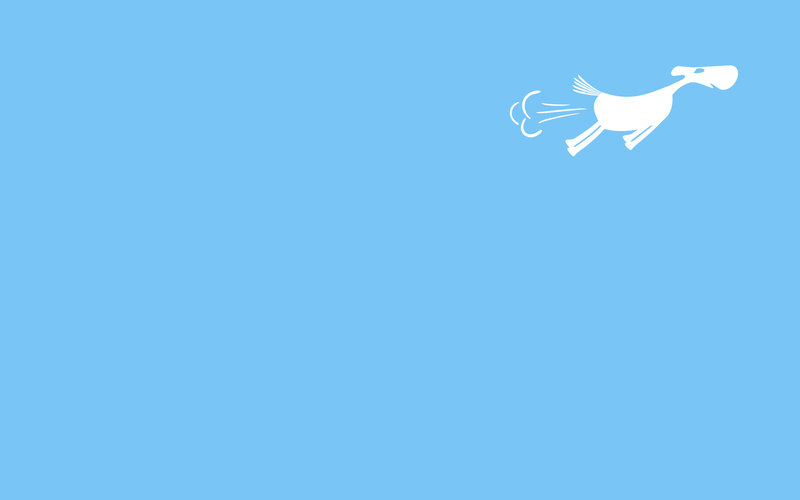 white dog running on blue