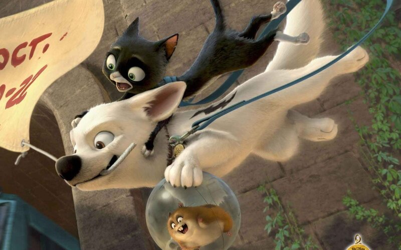 White Dog with Black Cat
