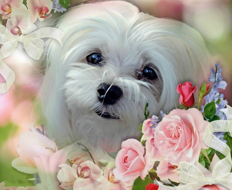 White Dog with Flowers — Pink