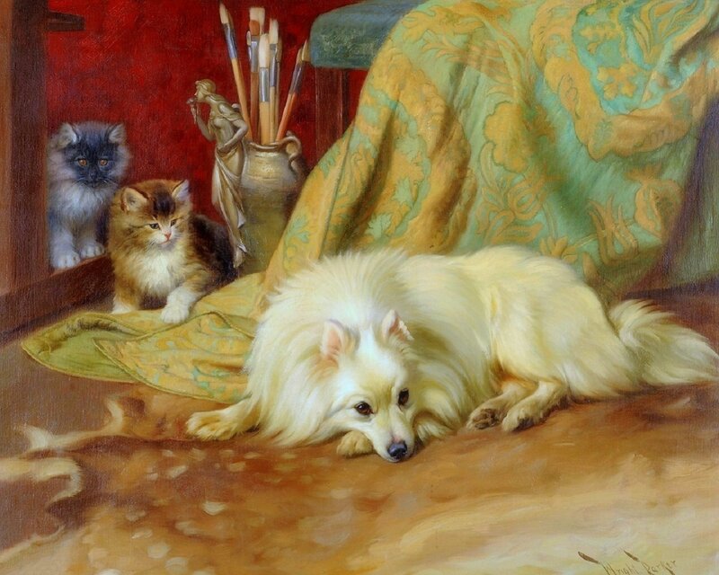 White Dog with Kittens