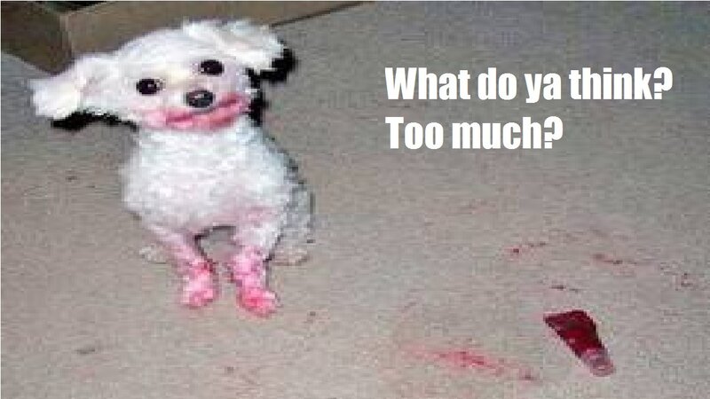 White Dog with Pink Stains