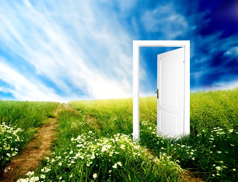 White Door in Field