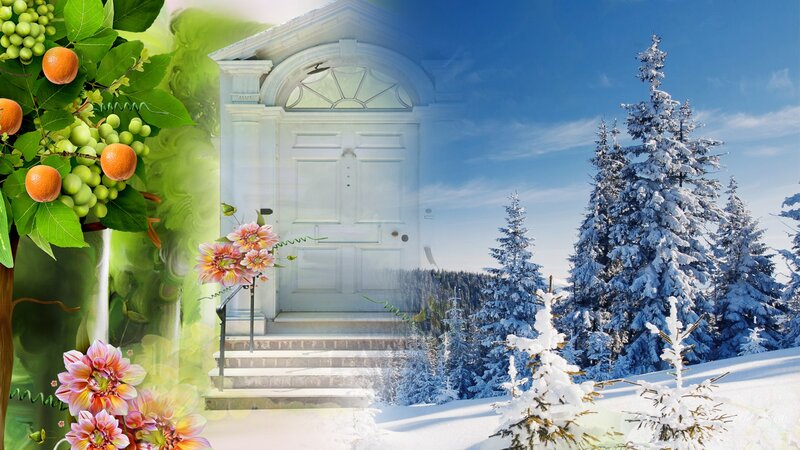 White Door in Winter