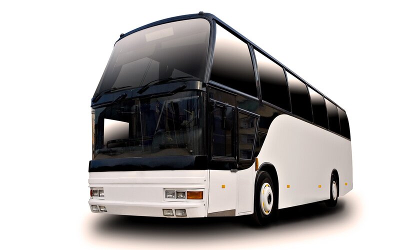 White Double-decker Bus — Neutral
