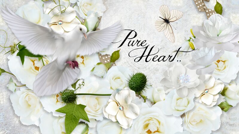 White Dove Among Flowers